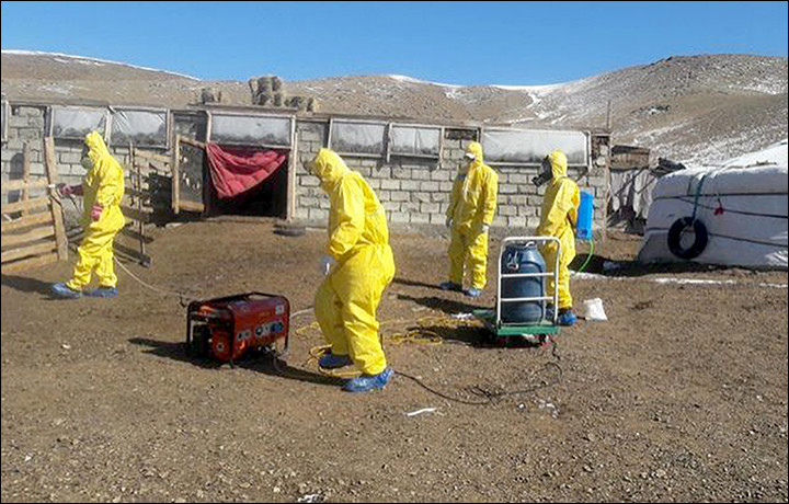 Российские туристы застряли из-за бубонной чумы в Монголии
